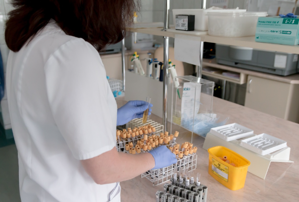 고지혈증진단기준