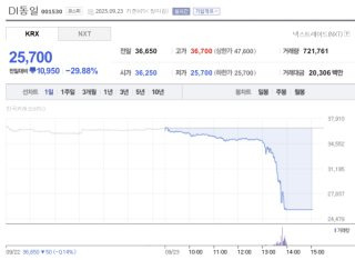 치밀한 수법과 시장 교란