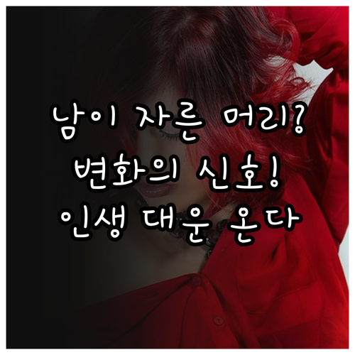 타인이 머리 잘라주는 꿈 해석 주변 ..