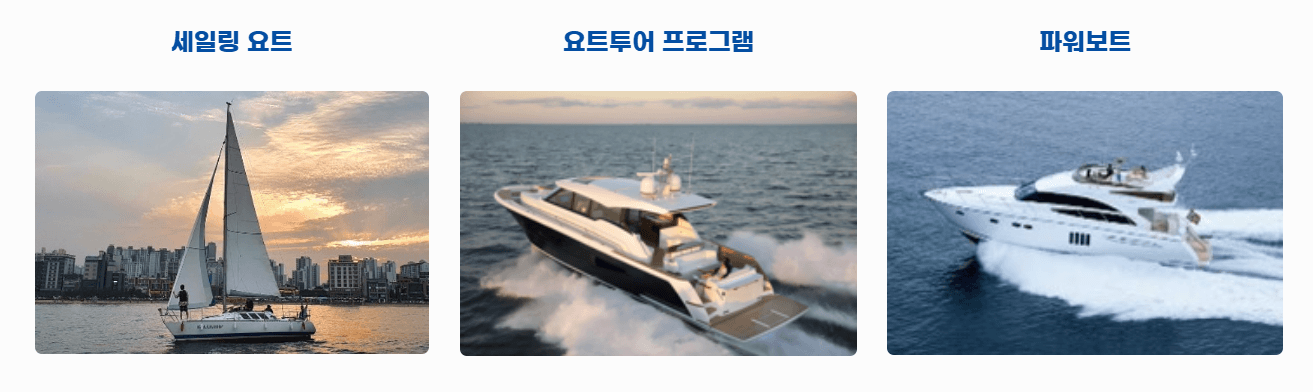 2024년 6월 축제