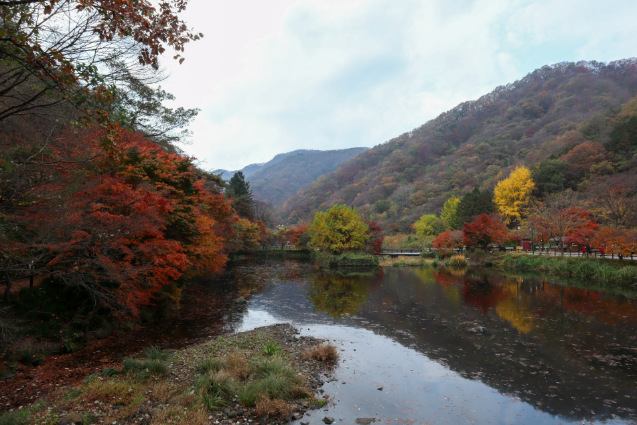 장성읍 생활비 상세표(1~4인)— 실제 정착민의 생활 흐름을 기반으로 만든 현실 비용 가이드