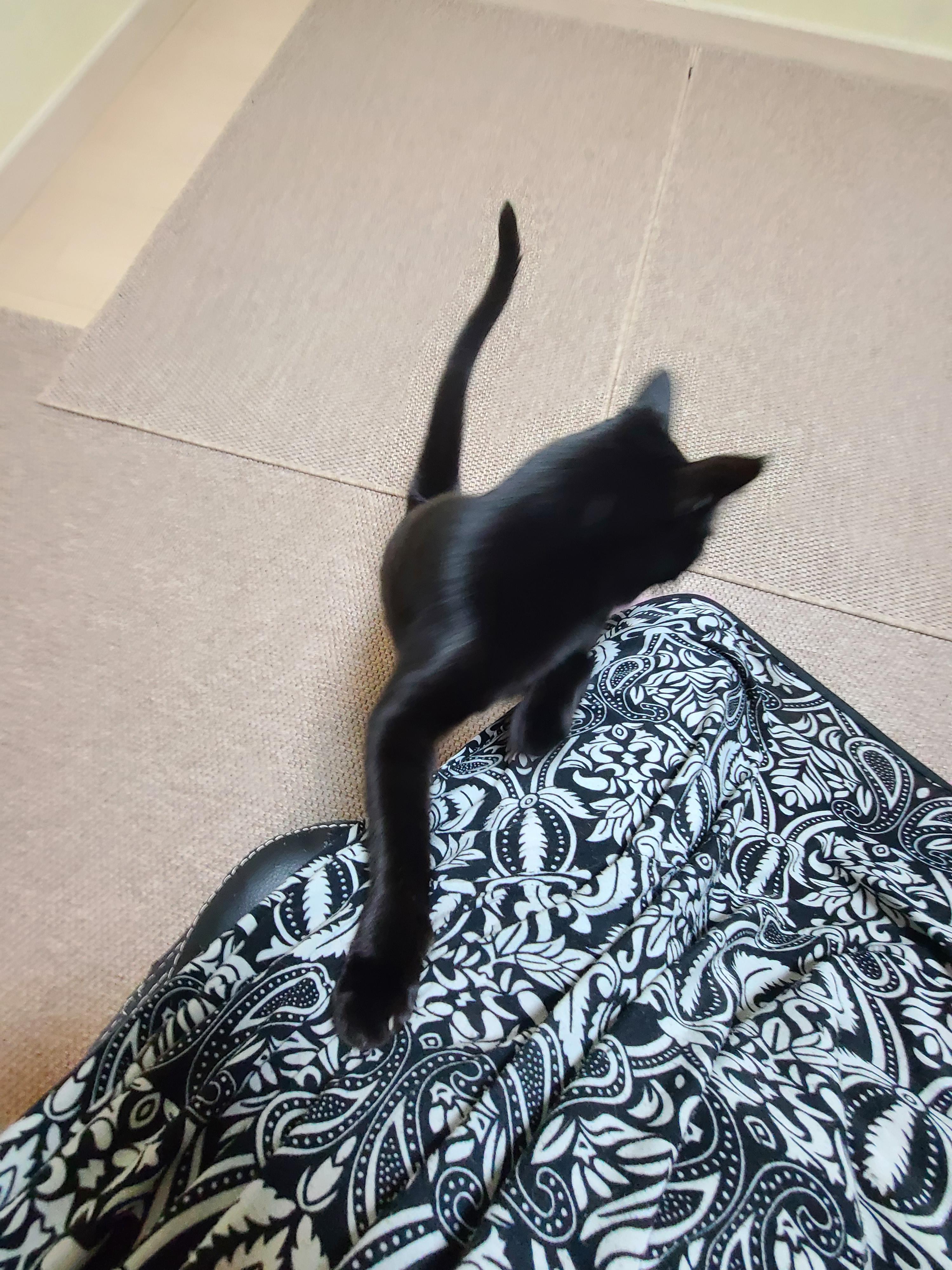 그날이 다가왔다! 아이들 화장실모래전체갈이!!