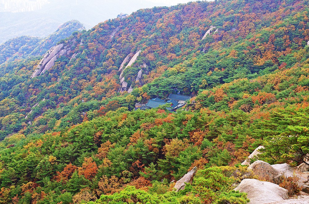 평창 발왕산 케이블카 예약하러 가기