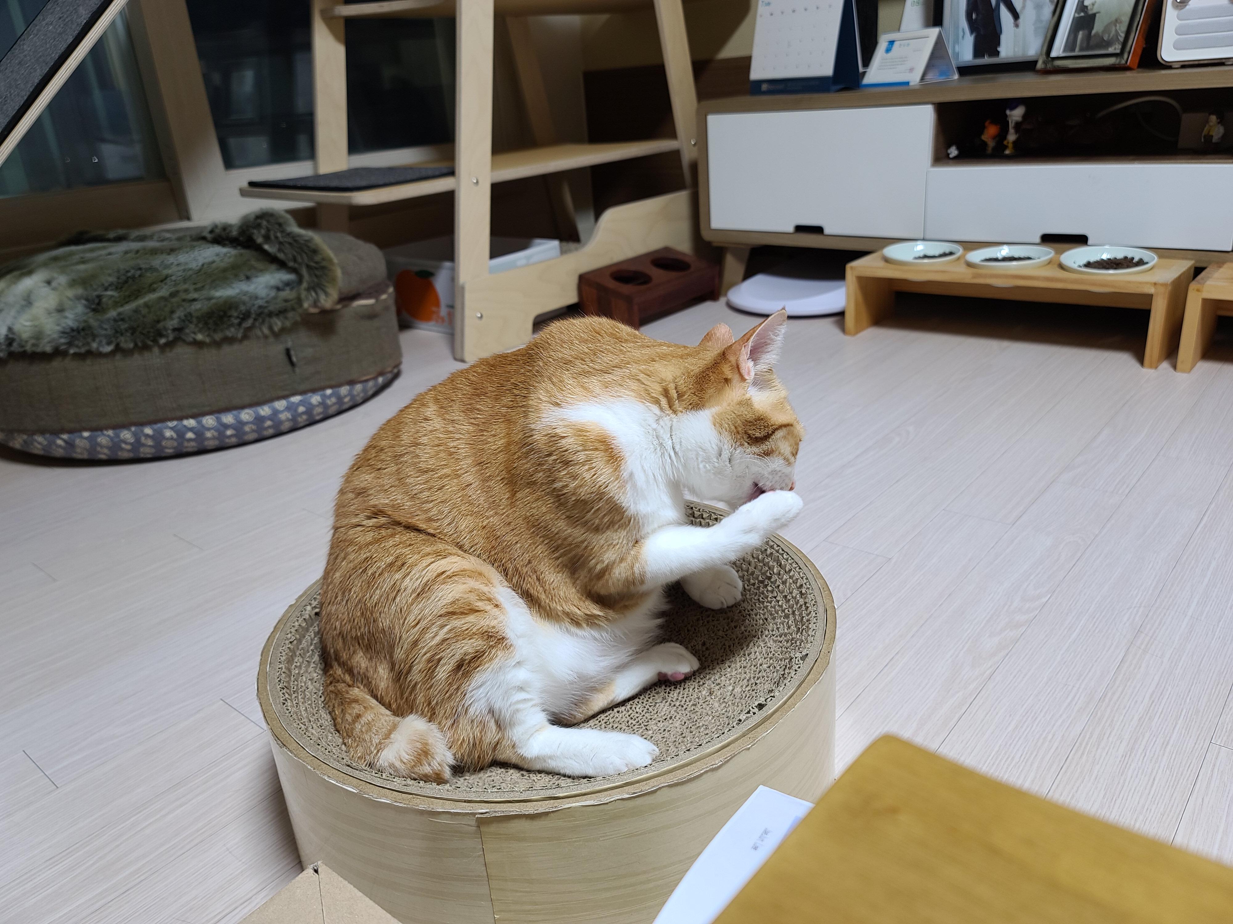 호야의 '동 to the 그 to the 라미' 스크래쳐 사용법.