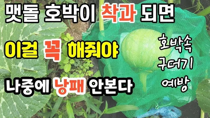 구더기 생기는 이유 방지 방법 정리_2