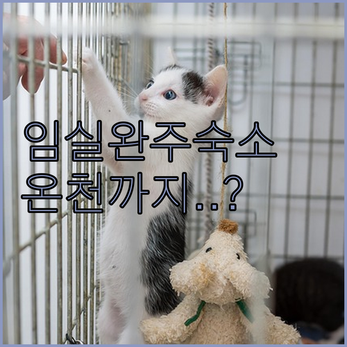 전북 임실 완주 숙소 추천 TOP 5..
