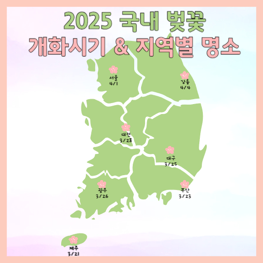 2025 국내벚꽃 개화시기