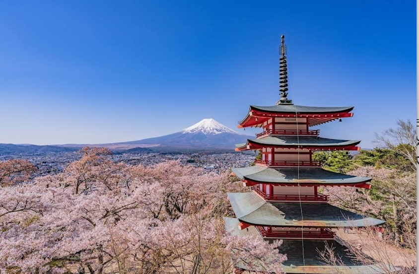 후지산과 벚꽃이 보이는 아라쿠라야마 센겐공원