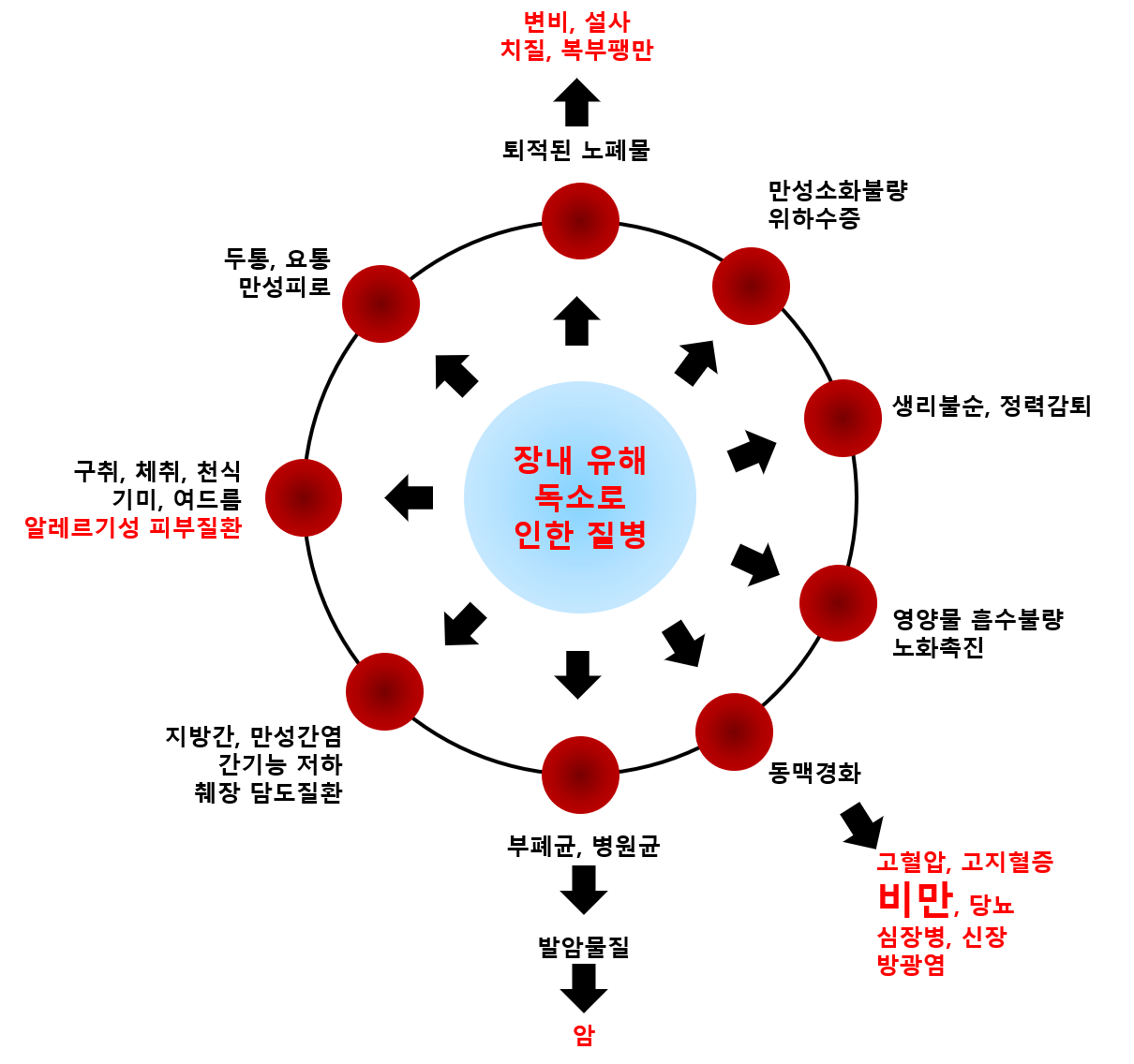 장내 유해독소로 인한 질병