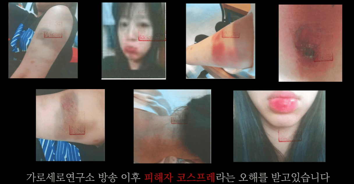 쯔양 가로세로연구소 해명