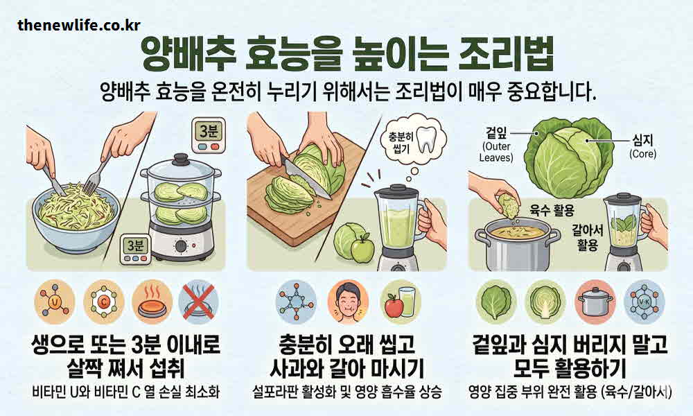 양배추 효능 높이는 조리법