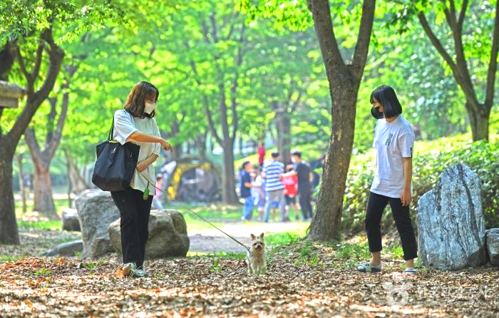 두 여인이 강아지 산책을 하고 있다.