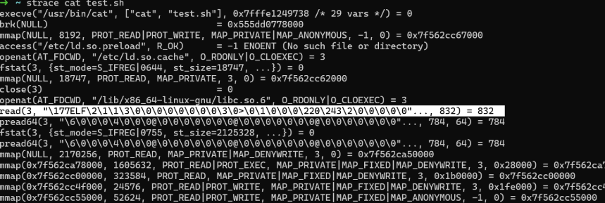 strace 출력 예시