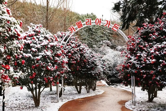 압해도 분재공원 근처 선착장에서의 낚시 농어와 도다리 포인트 소개 완벽 낚시터_7