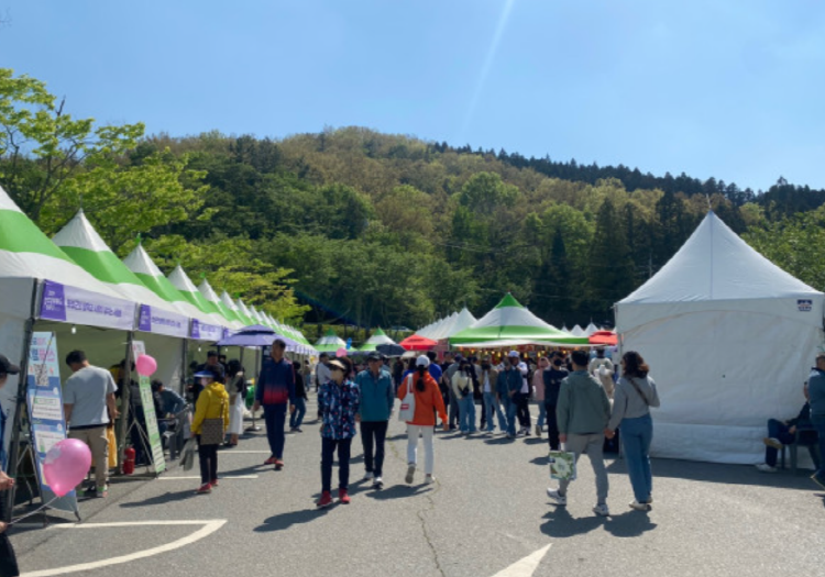 보성 다향대축제