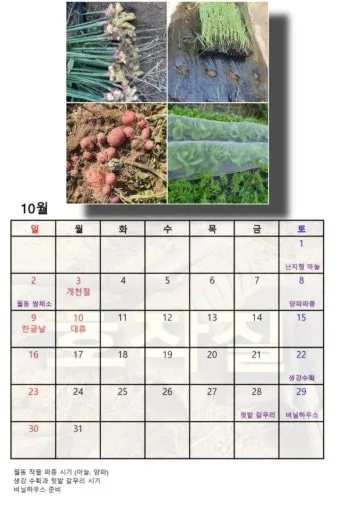 2025년 10월에 파종하기 좋은 작물들 농업 재배법_27