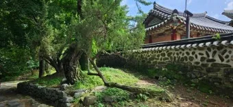 남한산성 둘레길 코스별 맛집 주의사항 완벽 총정리_21