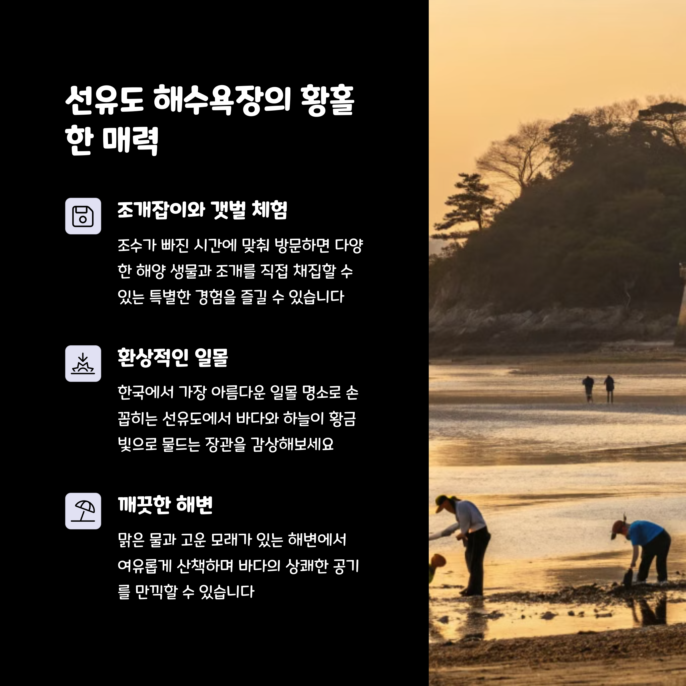 선유도