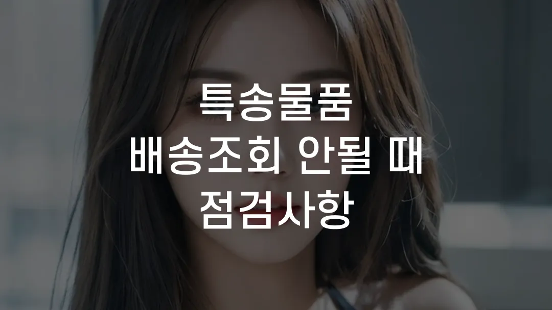 특송물품 배송조회 안될 때 점검사항