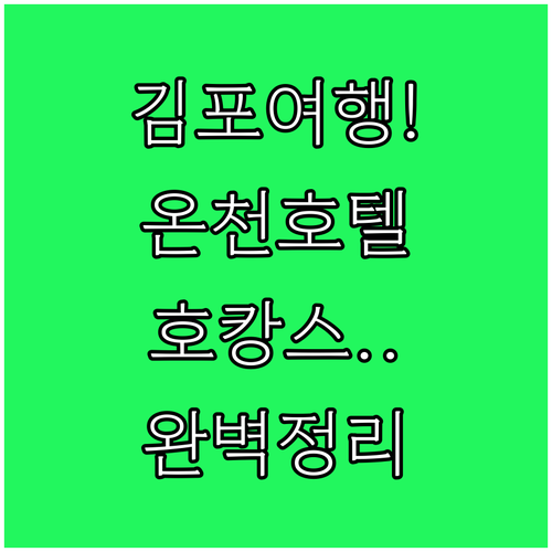 김포 여행 호텔 추천 온천 호텔부터 ..