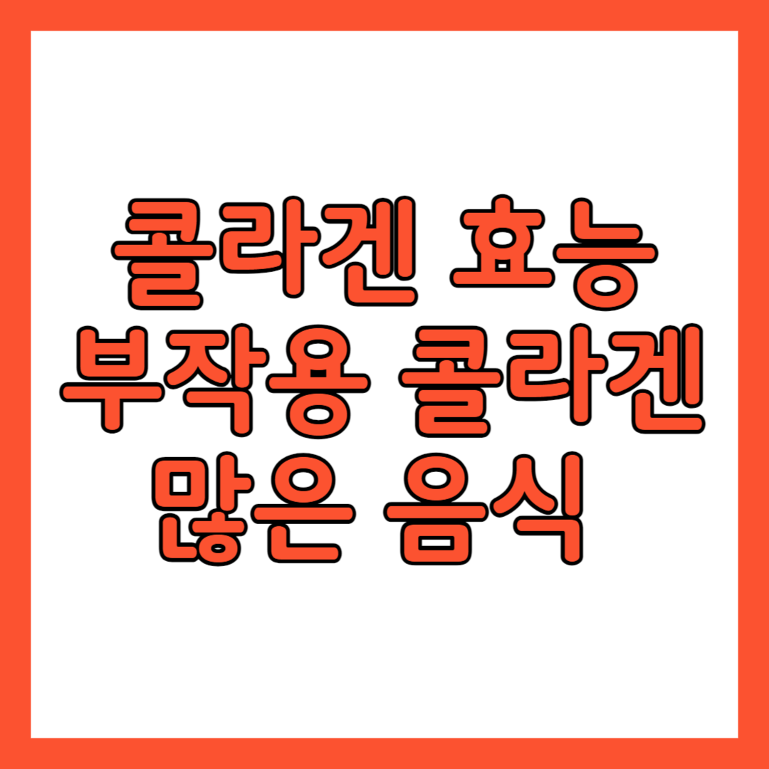 콜라겐 효능 부작용 콜라겐 많은 음식
