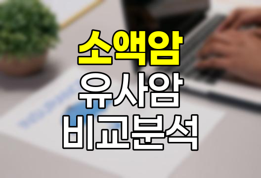 메리츠화재 소액암과 유사암, 보장의 경계 해부