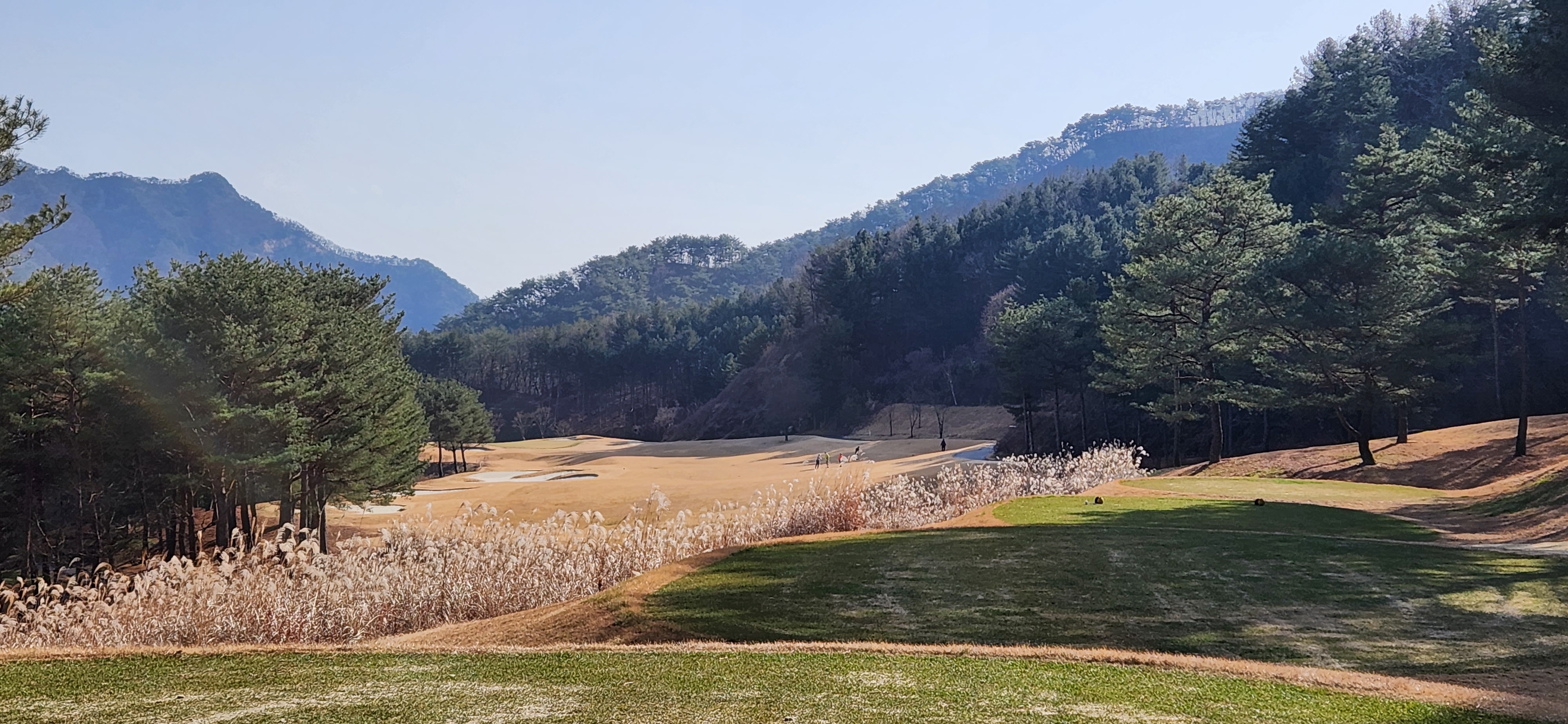 오크밸리cc