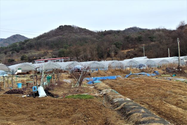 마을풍경, 들판, 비닐하우스,