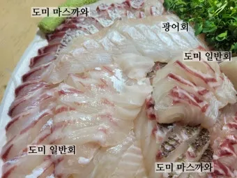 6월 제철회 종류별 신선한 해산물의 맛있는 향연_2