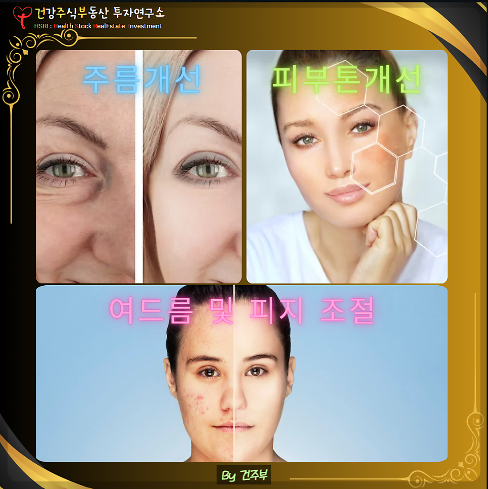 주름개선, 피부톤개선, 여드름 및 피지 조절
(글 그림 : 건주부, 그림 출처 : Canva)