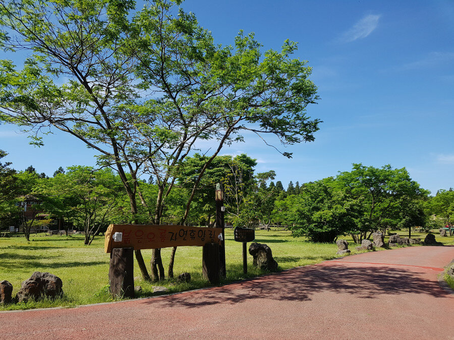 제주 붉은오름 자연휴양림 숲속야영장