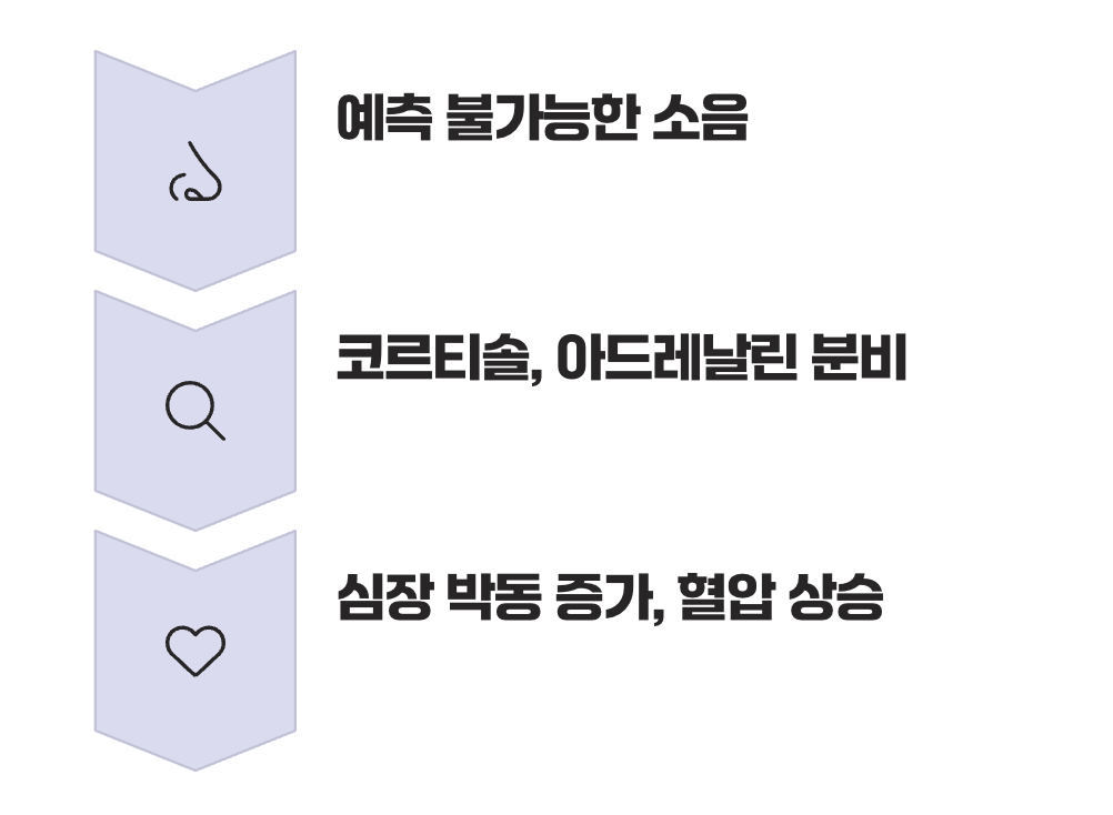 소음이 스트레스 호르몬을 부른다