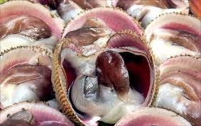 제 4회 홍성남당항 바다송어 페스티벌 기본정보 와 특징 소개