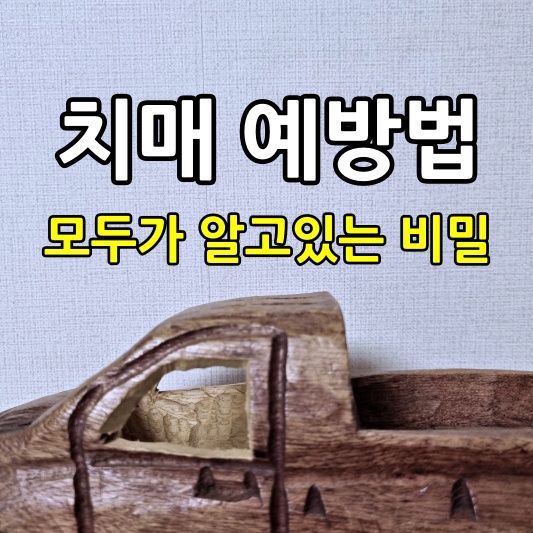 치매-예방법-모두가-알고있는-비밀