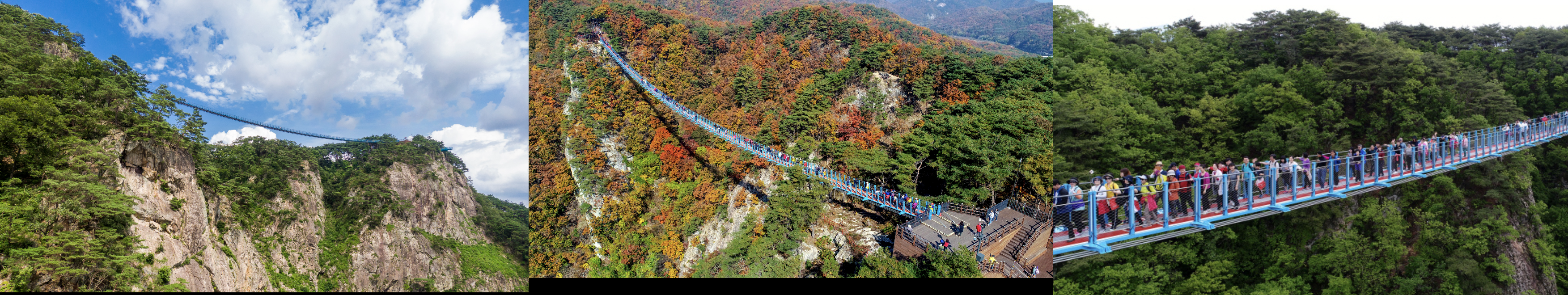 원주 소금산 출렁다리 요금 바로 알아보기 (https://www.wonju.go.kr/tour)