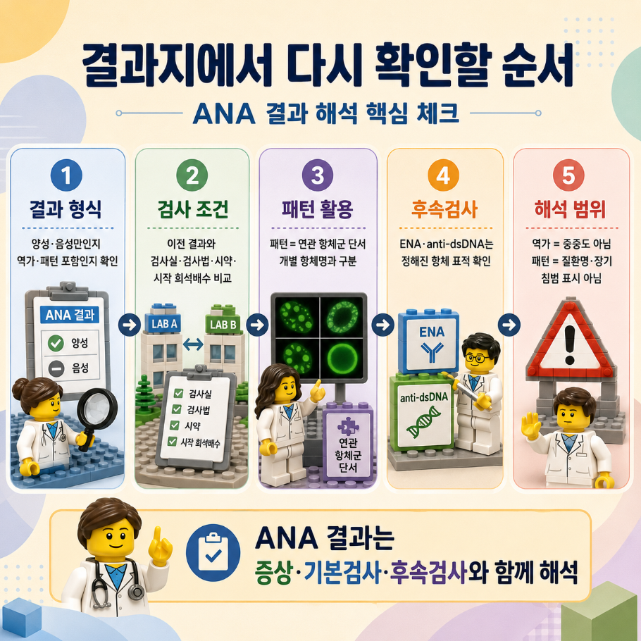 ANA 결과지를 해석할 때 확인해야 할 순서와 검사 조건, 후속검사, 해석 범위를 요약한 레고 스타일 체크리스트 인포그래픽