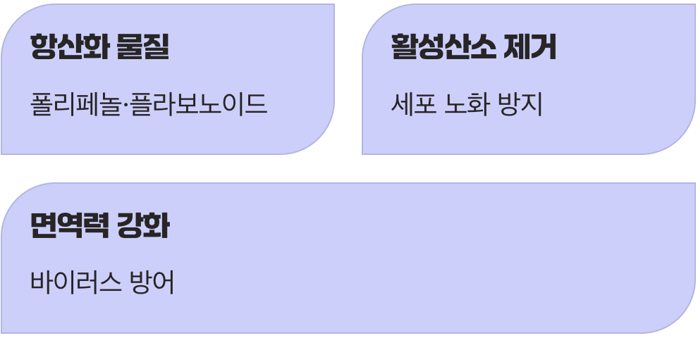 우리 몸의 방패, 든든하게 세우기