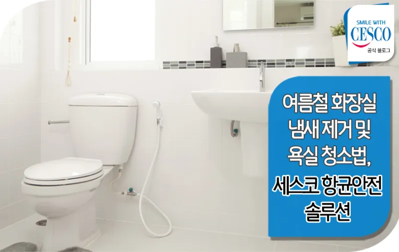 여름철 욕실 세균 곰팡이 청소 끝 관리법과 예방 팁 완벽 위생 가이드_2