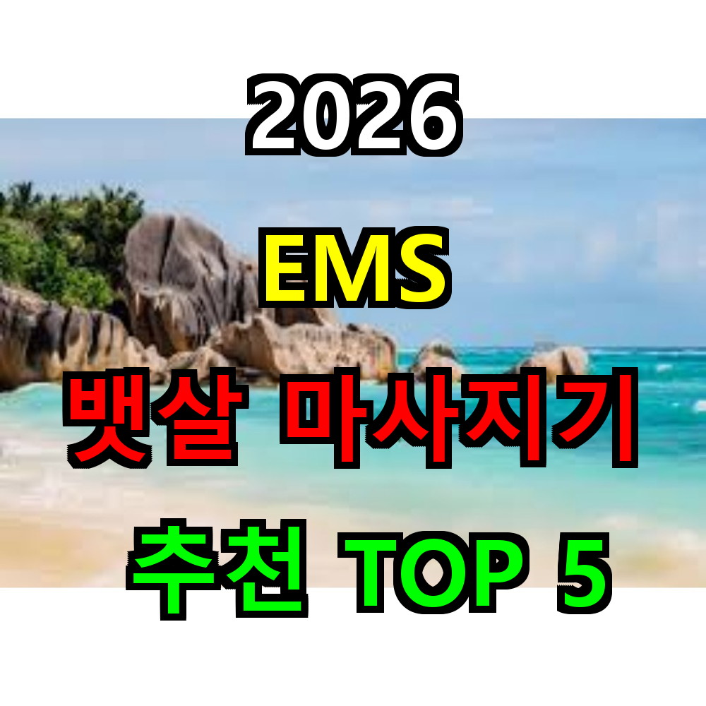 2026 EMS 뱃살 마사지기 추천 TOP 5