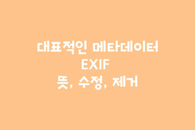 대표적인 메타데이터, EXIF