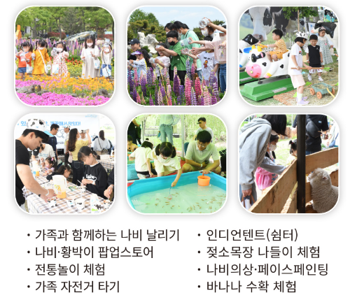 함평 나비대축제