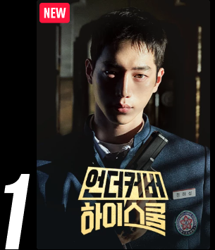 언더커버 하이스쿨