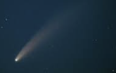 ENFP 유형 특징 분석