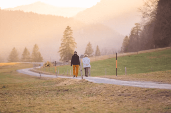 IRP 계좌 방치하면 손해! 수익률 높이는 운용법 