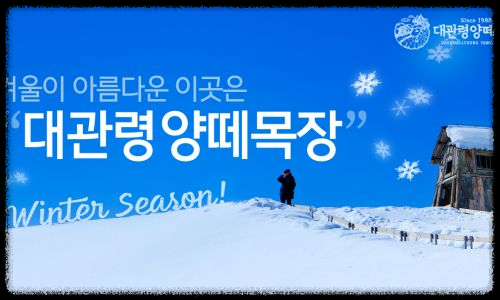 국내 겨울 설경 여행지 Best 10: 눈 덮인 명소와 일출·일몰 스팟