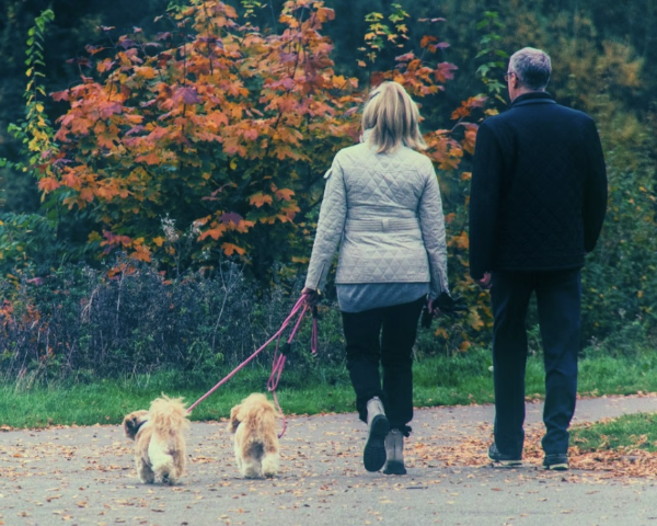 기 운동의 장점, 초보자에게 적합한 걷기 유산소 운동 방법