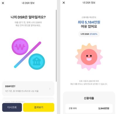 DSR정보 얼마일까 관련 이미지