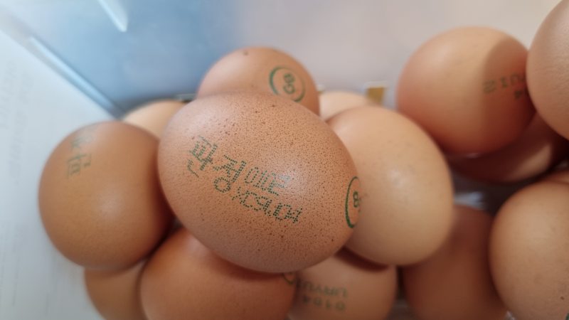 케이지에서 사육된 닭이 낳은 달걀은 4번