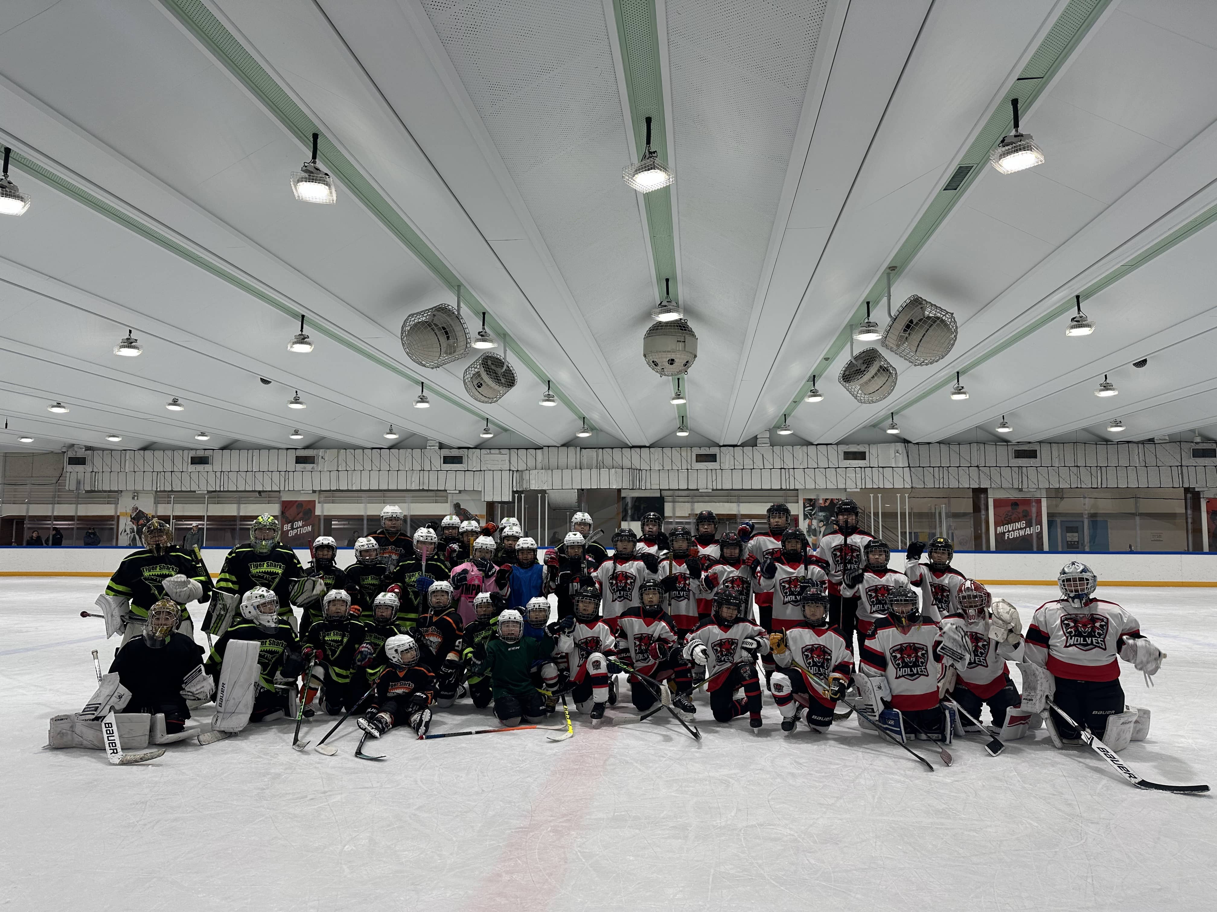 아이스하키는 단순한 스포츠가 아니다: 현대 사회에서의 팀워크 교육