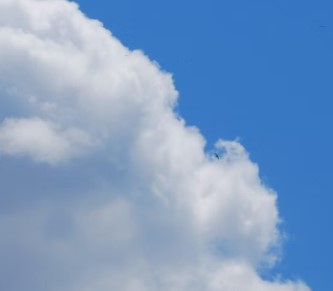 weather